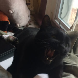 Meet your Posher, Hanora